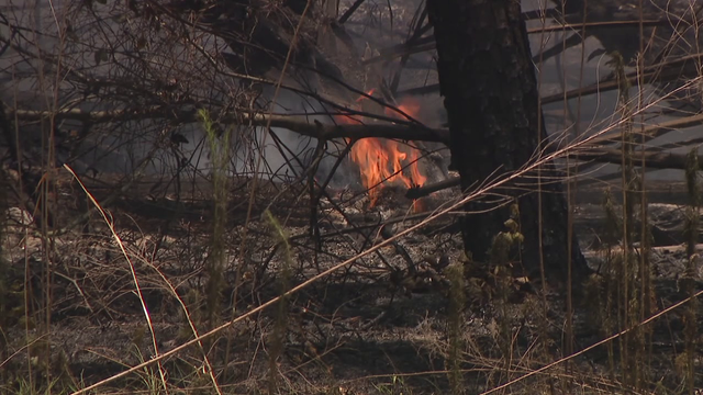 Fire officials warn that transition from drought to rainy season does not mean brushfire season is over