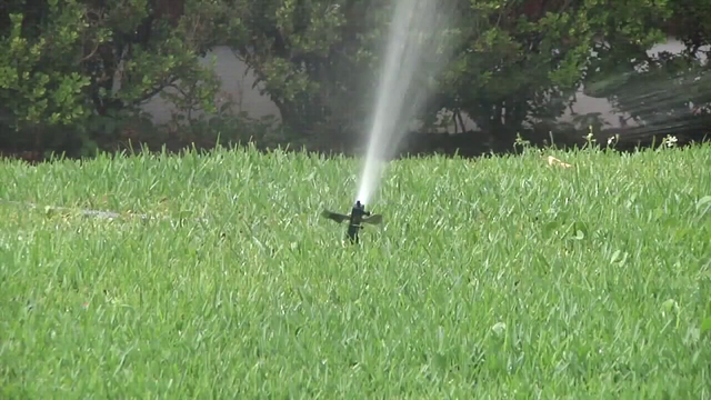 Tampa issues hundreds of watering fines for violations during historic drought: Here are ways to save water