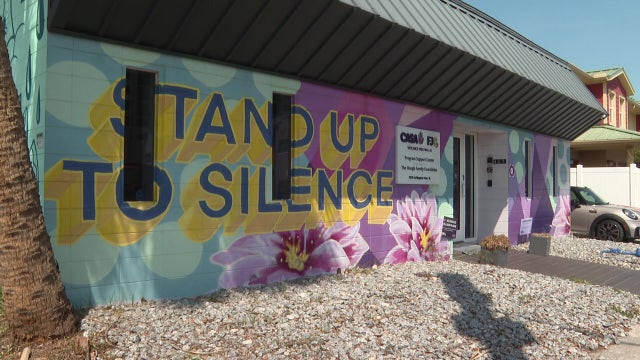 Florida strengthens domestic violence laws with new abuser tracking, discreet 911 systems