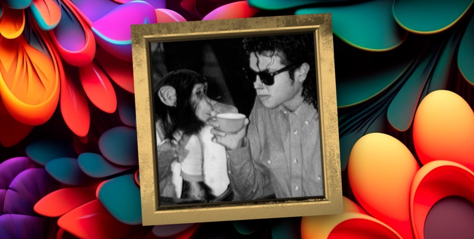 Where is Michael Jackson’s chimp Bubbles? The Florida retirement of a Hollywood legend