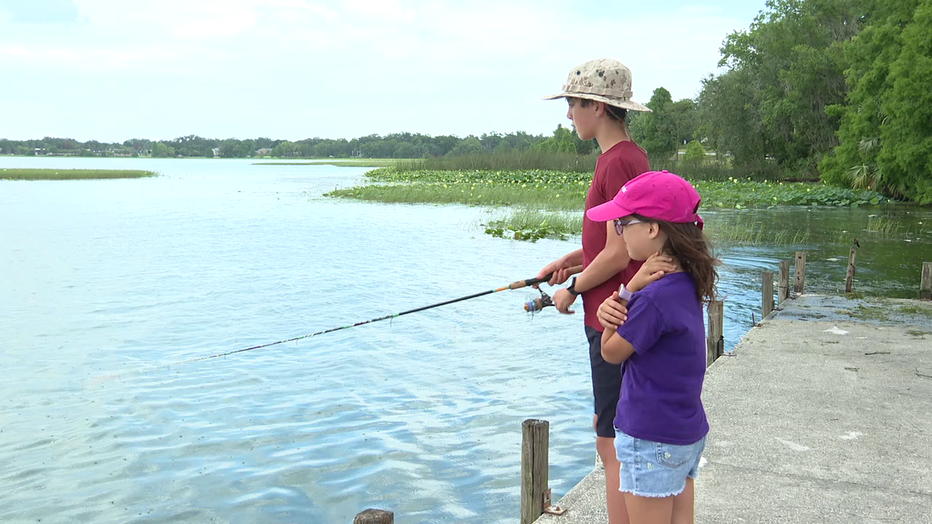Lake Hollingsworth Fish Die-Off
