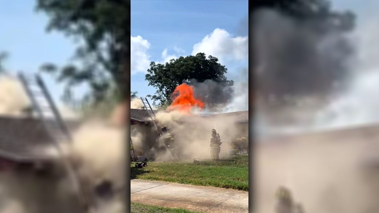 Clearwater firefighters rescue pet from house fire