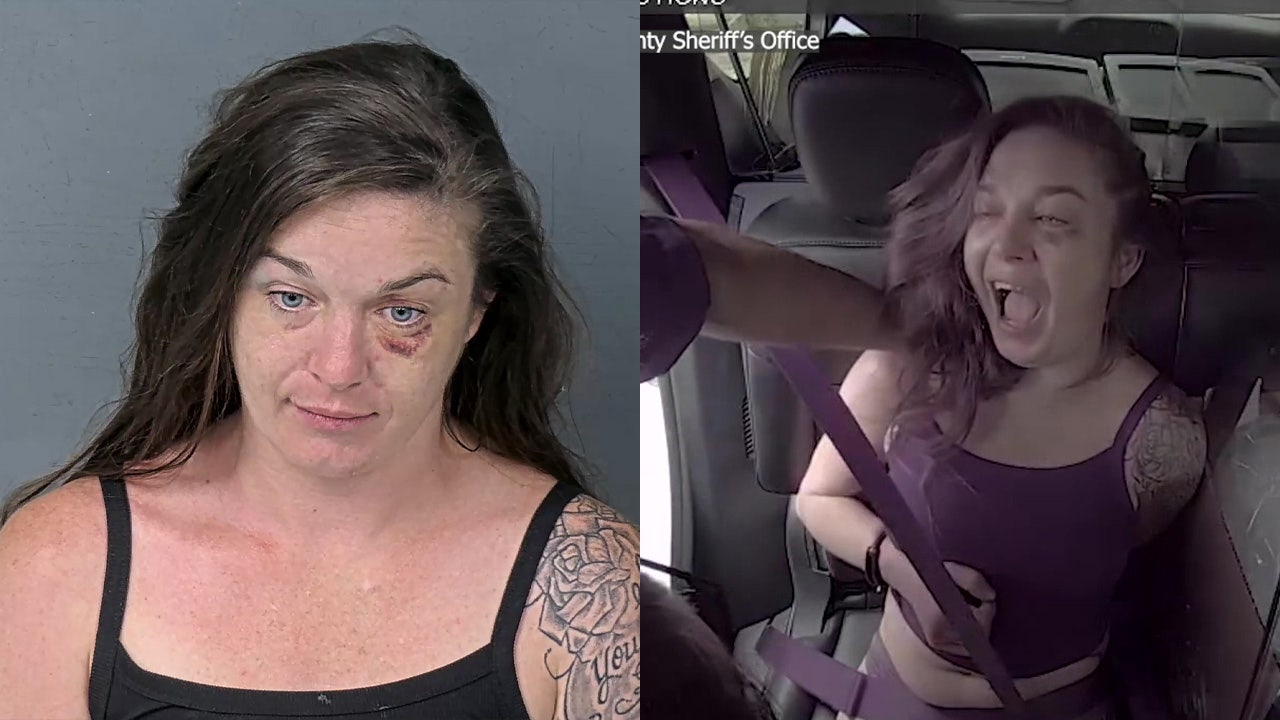 Florida woman wearing only underwear slapped by Hernando deputy after spitting in his face: HCSO