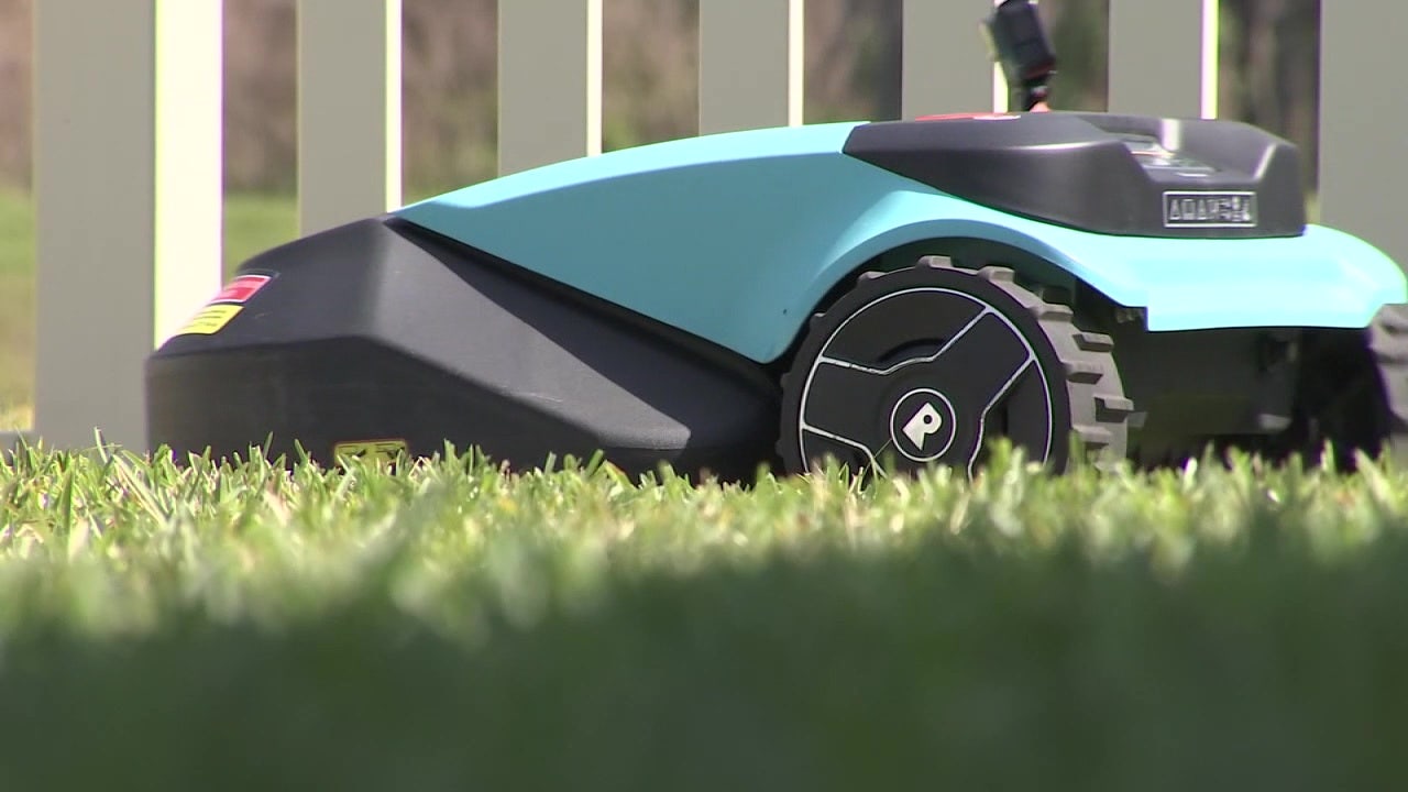 What to know before buying a robotic lawn mower