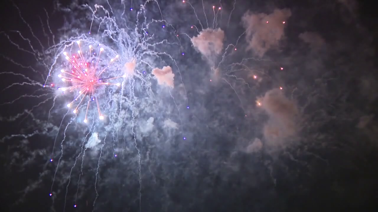 Safety Harbor fireworks staying at Waterfront Park after wildlife concerns