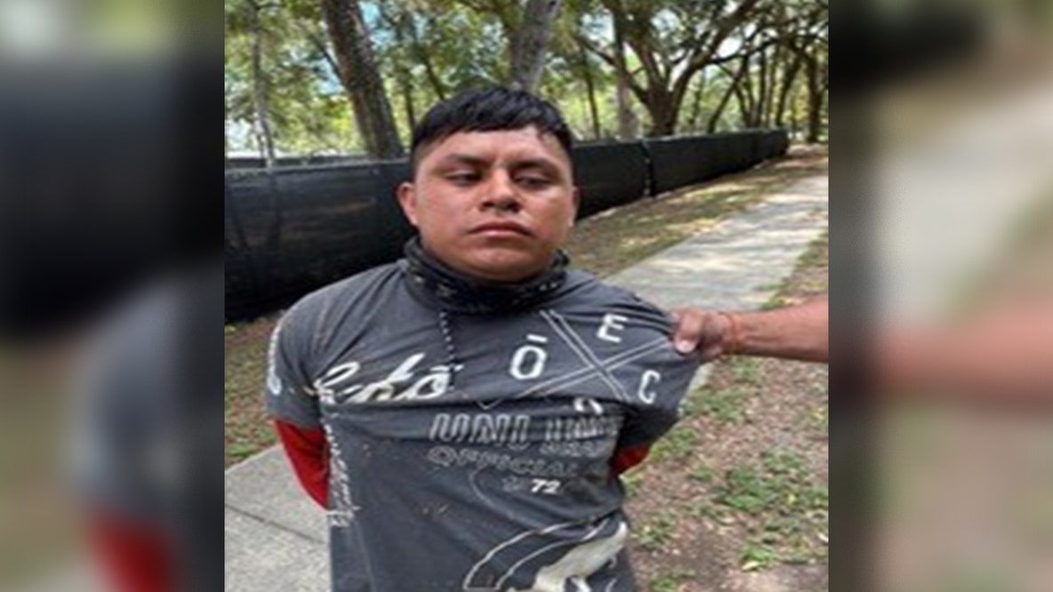 Mexican national arrested, accused of assaulting ICE agent during Florida traffic stop: FHP