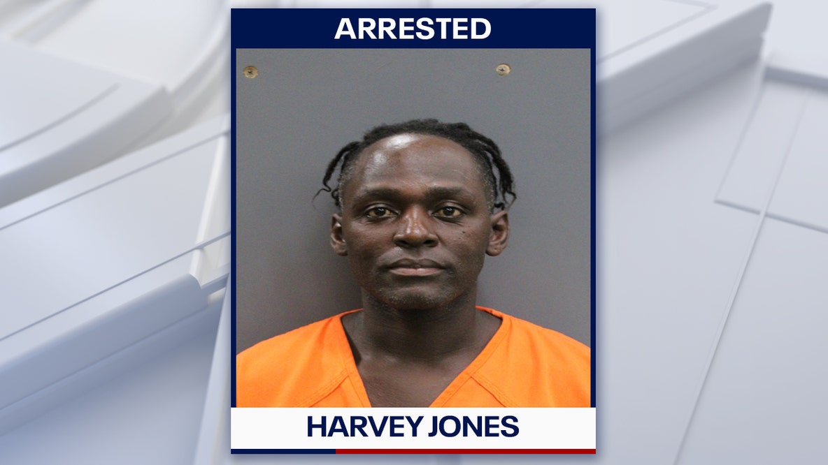 Hillsborough County man arrested, accused of leaving dog to die in extreme heat: HCSO