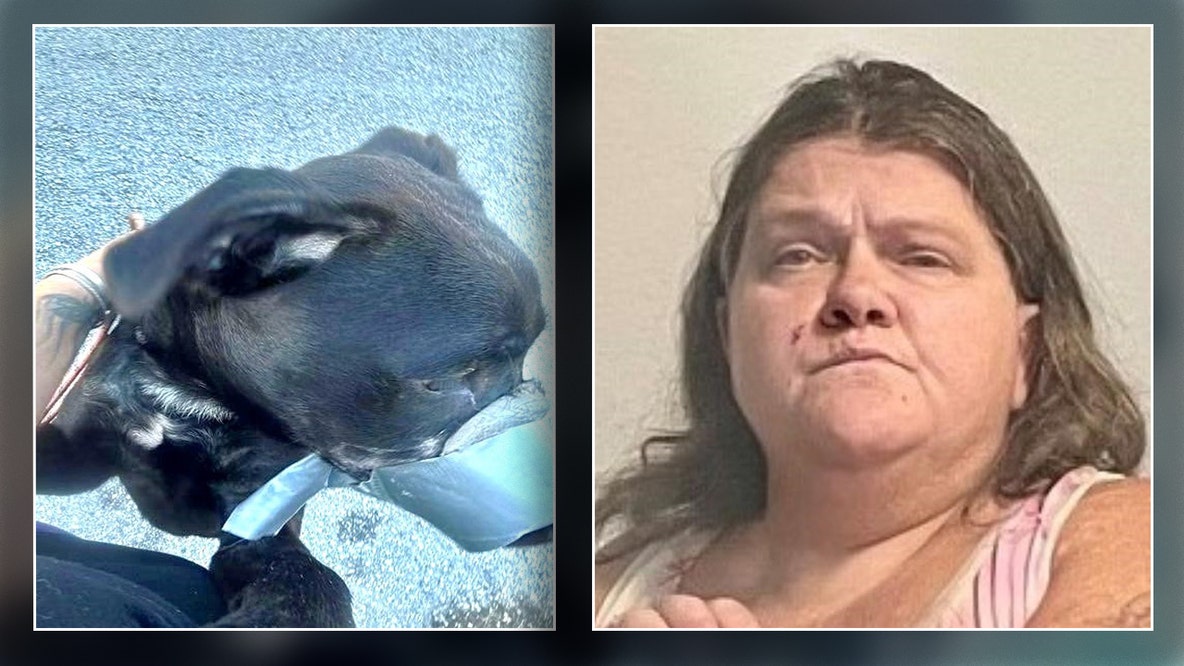 Facebook photo of duct-taped dog leads to animal cruelty arrest, rescue of several animals: PCSO