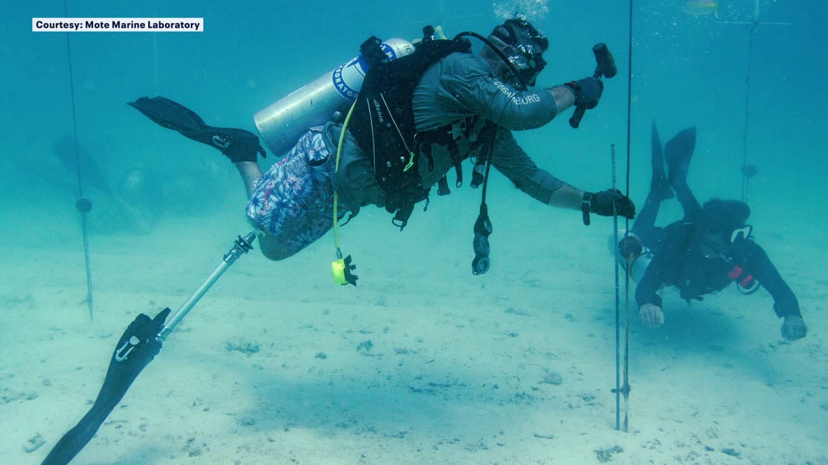 Wounded veterans partner with marine scientists to restore Florida reefs