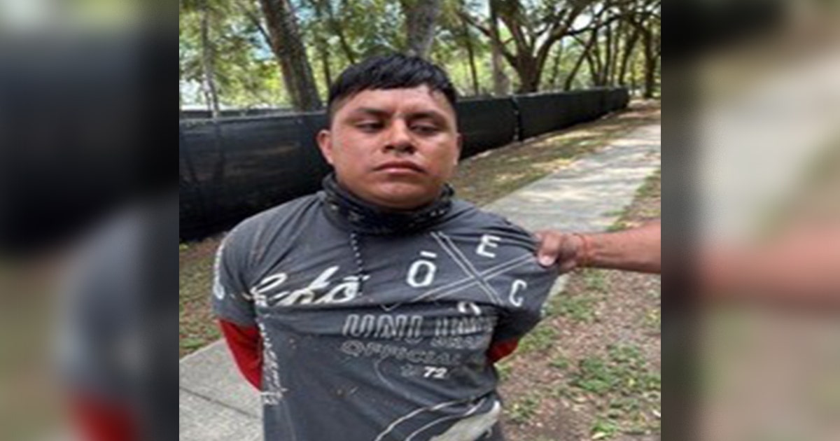 Mexican national arrested, accused of assaulting ICE agent during Florida traffic stop: FHP