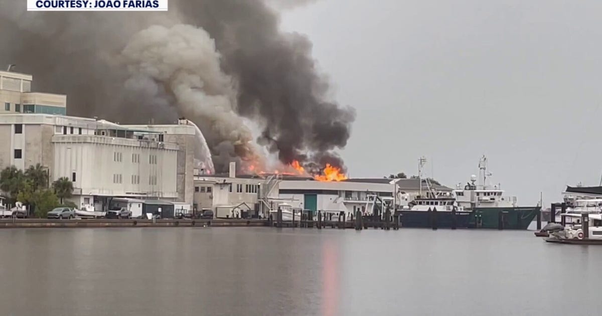 Lightning Strike Sets Fire at USF College of Marine Science Lab in St. Petersburg