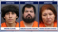 Ruskin residents accused of fighting detectives serving a search warrant during child porn investigation