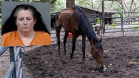 Dunnellon woman arrested after 92 neglected animals found at breeding business
