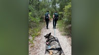 Dog rescued after overheating during hike in Citrus County