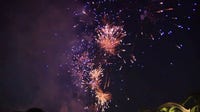 Fourth of July fireworks get green light in Florida despite widespread wildfire concerns