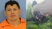 DUI suspect running from law enforcement officer attacked by alligator in swamp: Sheriff