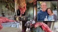 Manatee County couple loses everything in fire — but two items survive