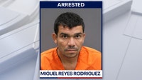Hillsborough County man accused of fatally shooting neighbor's dog after child bitten: HCSO