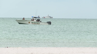 Missing swimmer found safe after disappearing in water off Siesta Key Beach: SCSO