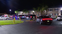 One person hospitalized after shooting in Haines City, investigation underway: HCPD
