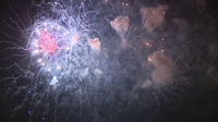 Safety Harbor fireworks staying at Waterfront Park after wildlife concerns