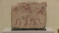 Ancient Egyptian mummies and pharaoh sculptures arrive at Tampa Museum of Art