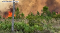 Lightning strikes ignite 80 brush fires in June across 5 Bay Area counties