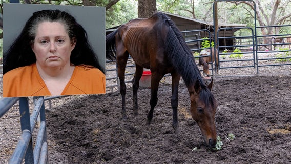 Dunnellon woman arrested after 92 neglected animals found at breeding business