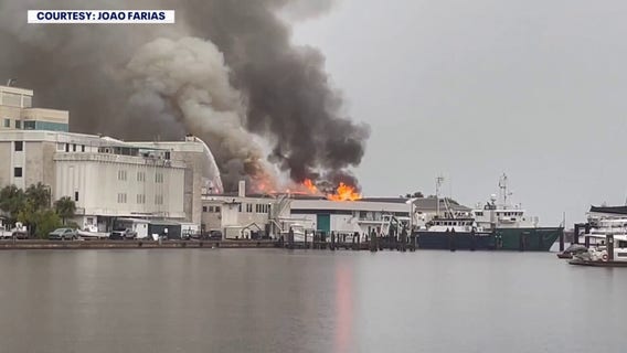 USF marine science research destroyed in St. Pete lab fire caused by lightning strike