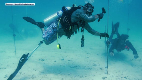 Wounded veterans partner with marine scientists to restore Florida reefs