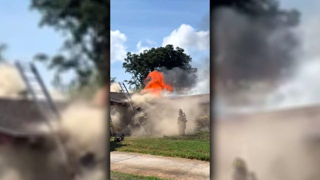 Clearwater firefighters rescue pet from house fire