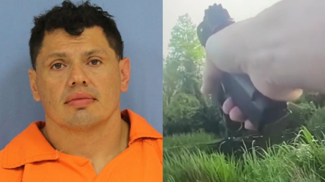 DUI suspect running from law enforcement officer attacked by alligator in swamp: Sheriff