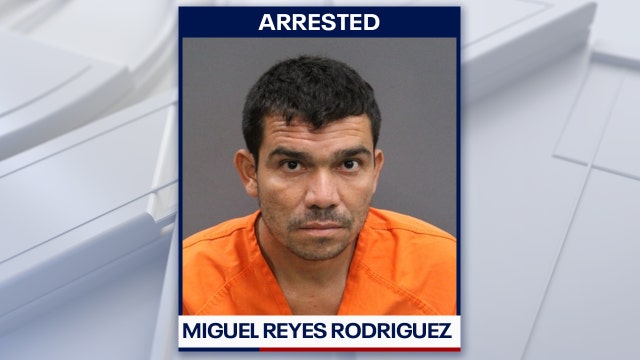 Hillsborough County man accused of fatally shooting neighbor's dog after child bitten: HCSO