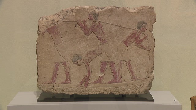 Ancient Egyptian mummies and pharaoh sculptures arrive at Tampa Museum of Art