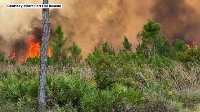 Lightning strikes ignite 80 brush fires in June across 5 Bay Area counties