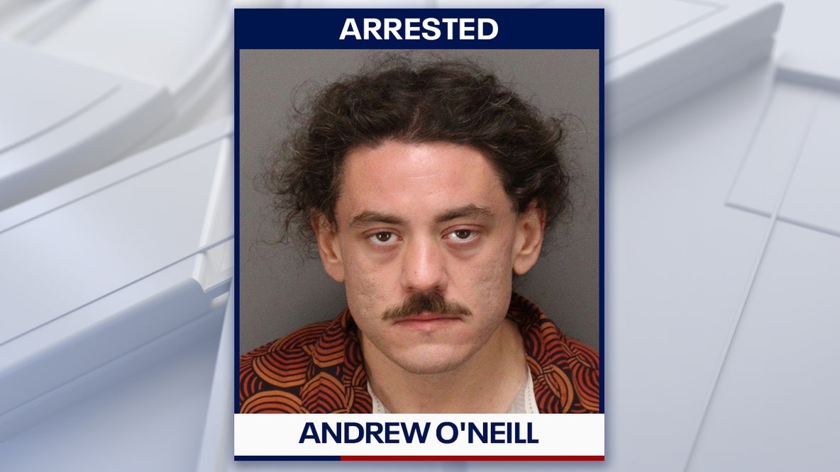 Man arrested after $96K vandalism caught on camera at St. Pete apartment building: Police