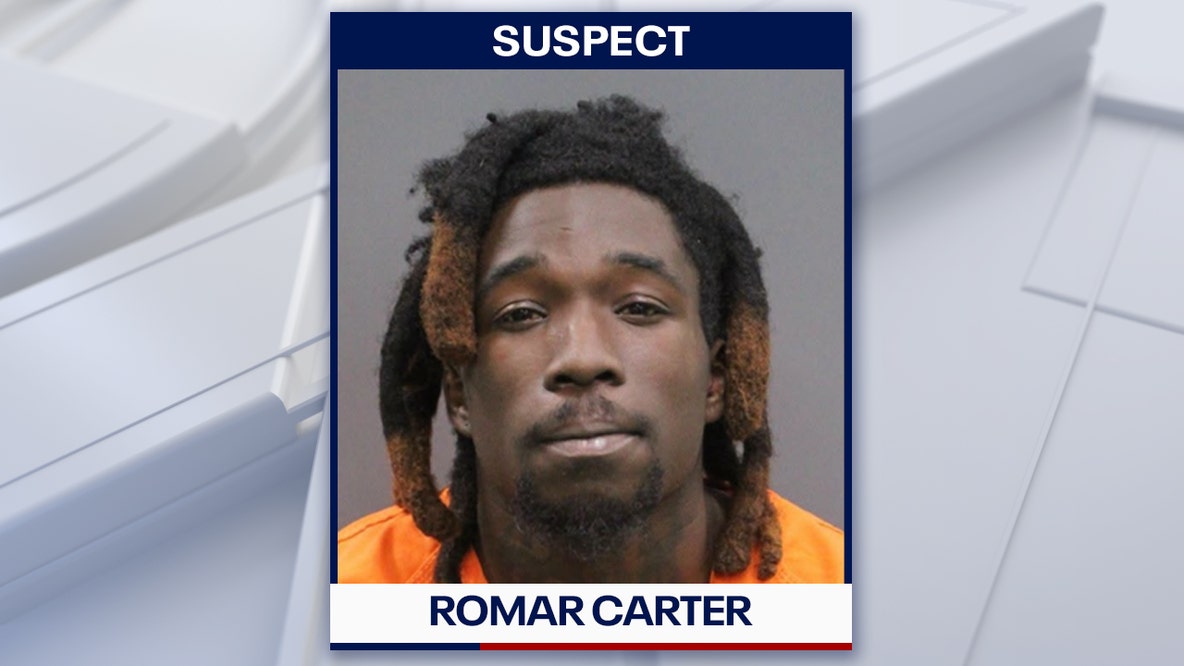 Hillsborough man arrested, accused of kicking and hitting dog: Deputies