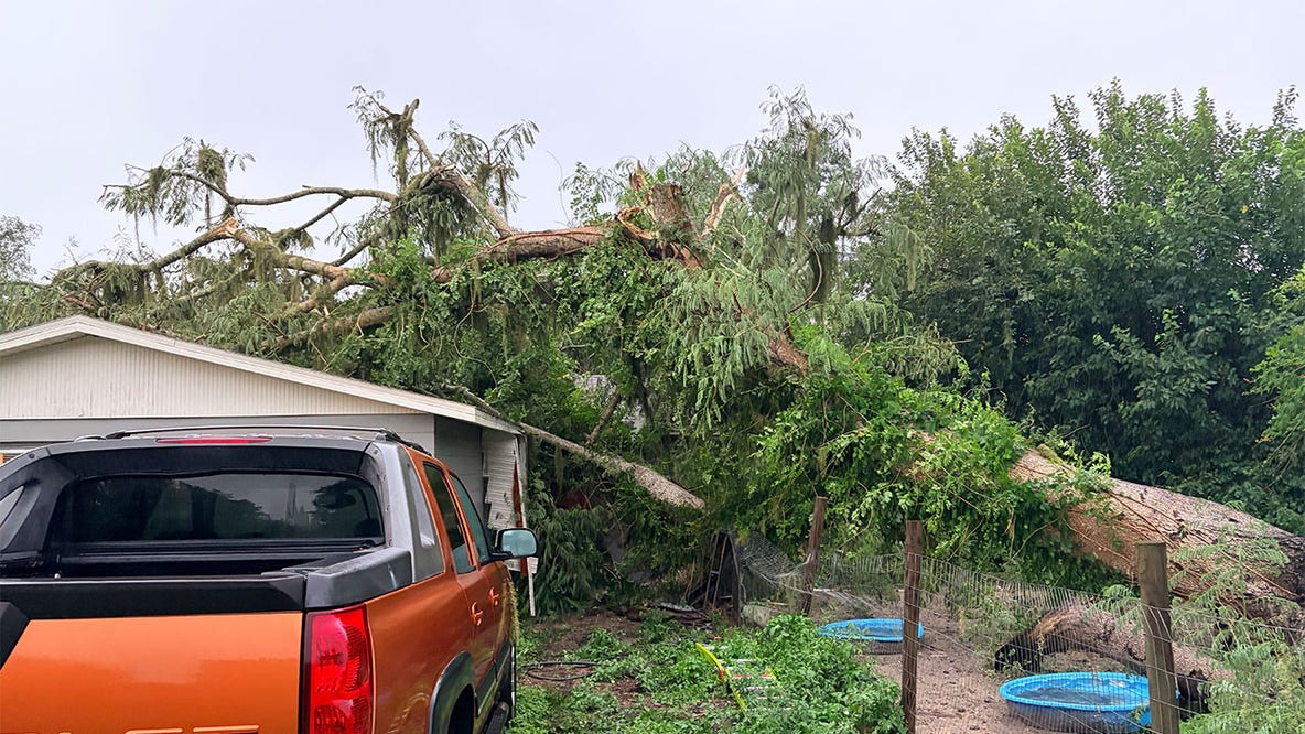 Riverview storm damage: Massive tree crushes home during severe weather