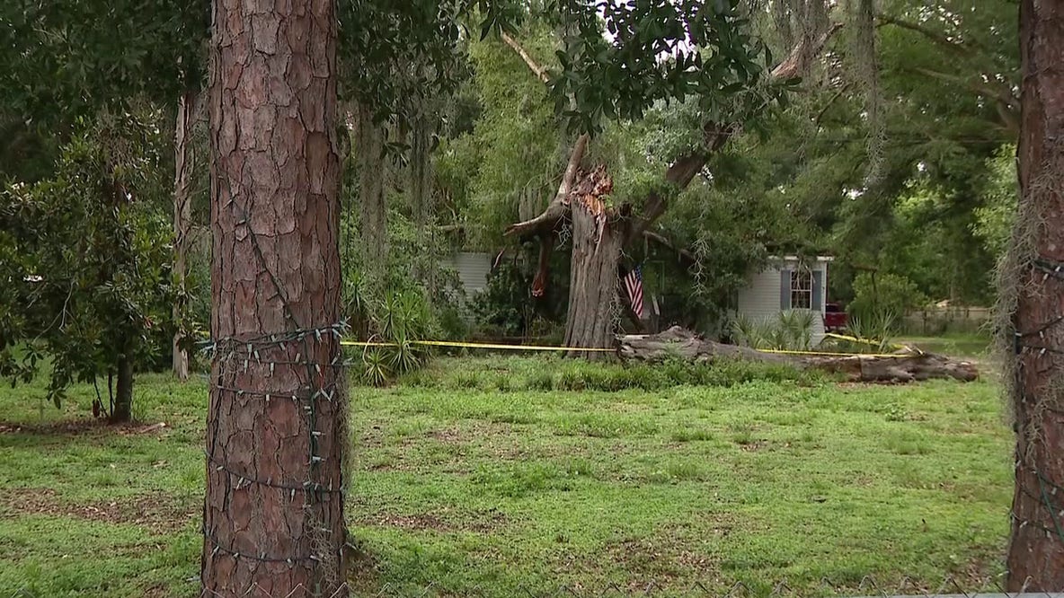 1 killed after tree falls onto Zephyrhills home: PCSO