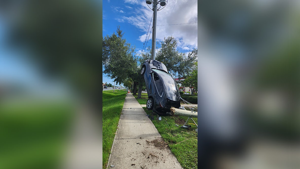 Driver loses control of car, strikes utility pole: FHP