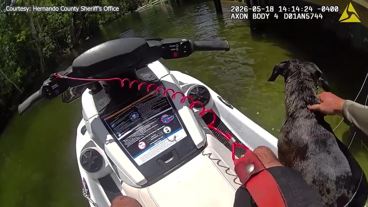 Video: Stubborn dog saved from Weeki Wachee River refuses to lose her favorite stick