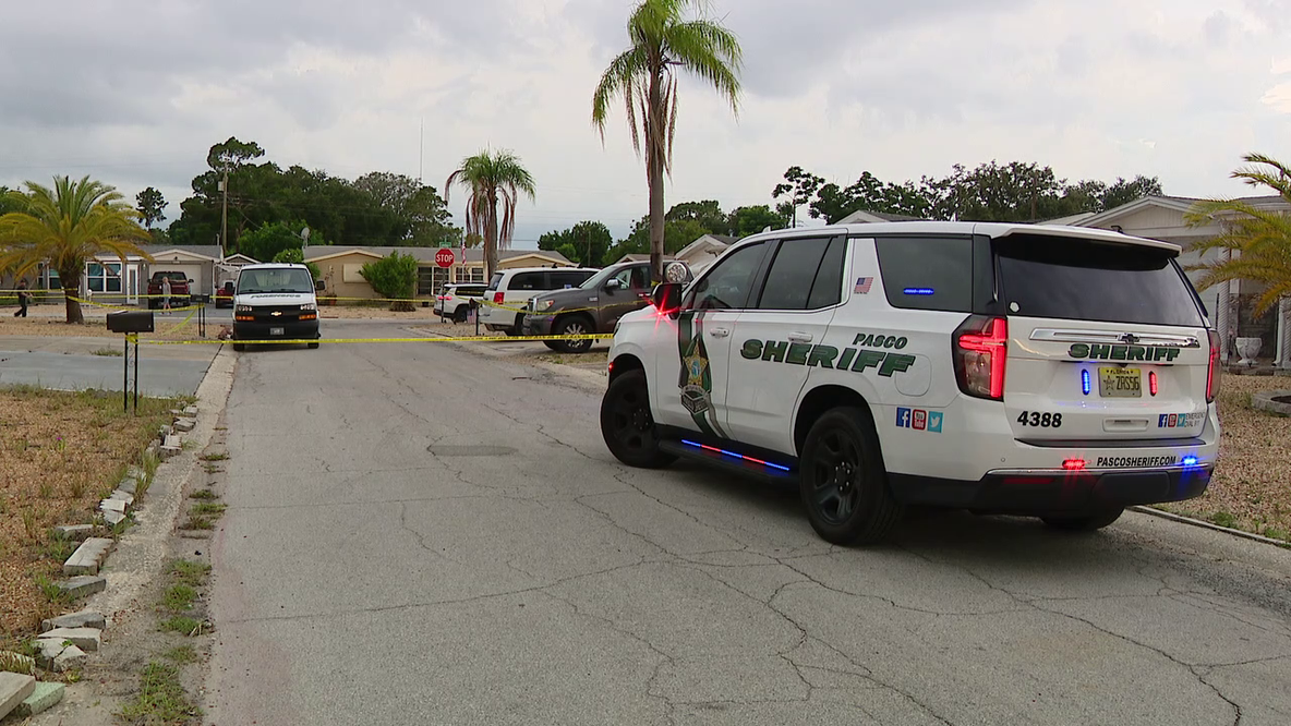 Holiday shooting: Man killed after argument, suspect detained: PSO