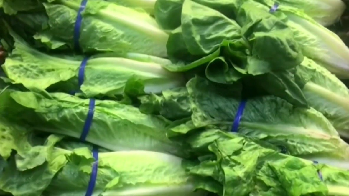 Cyclospora outbreak: FDA declares Taylor Farms lettuce test false positive, but data still supports recall