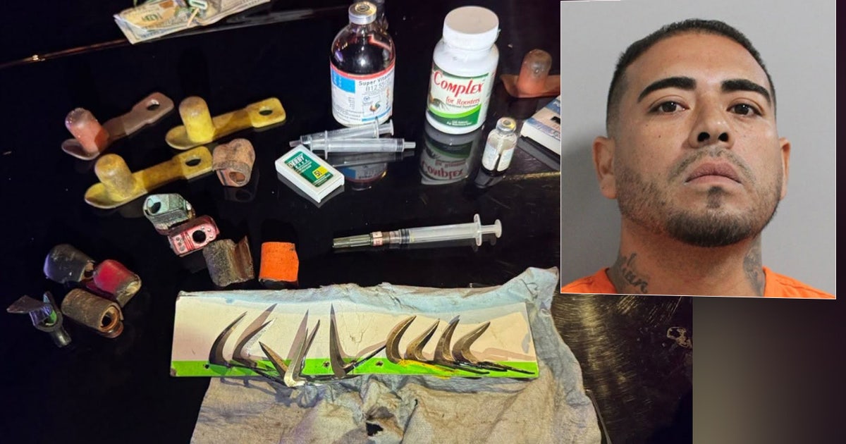 Lakeland cockfighting arrest: Traffic stop leads to charges against Plant City man