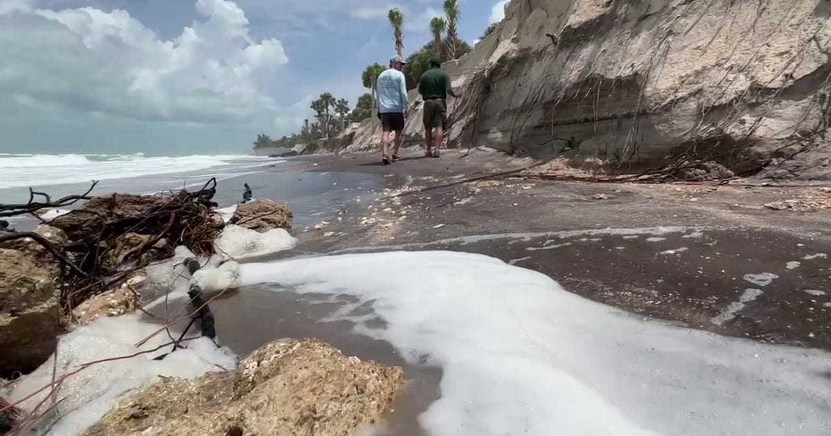 Coastal erosion on North Manasota Key threatens homes and wildlife