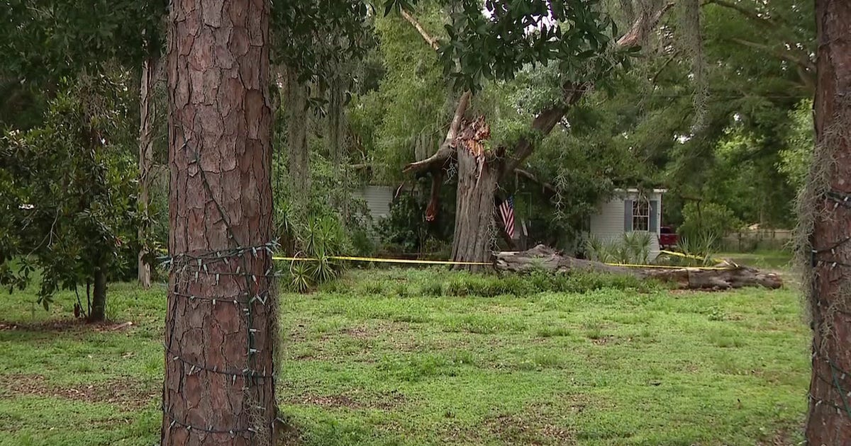 1 killed after tree falls onto Zephyrhills home: PCSO