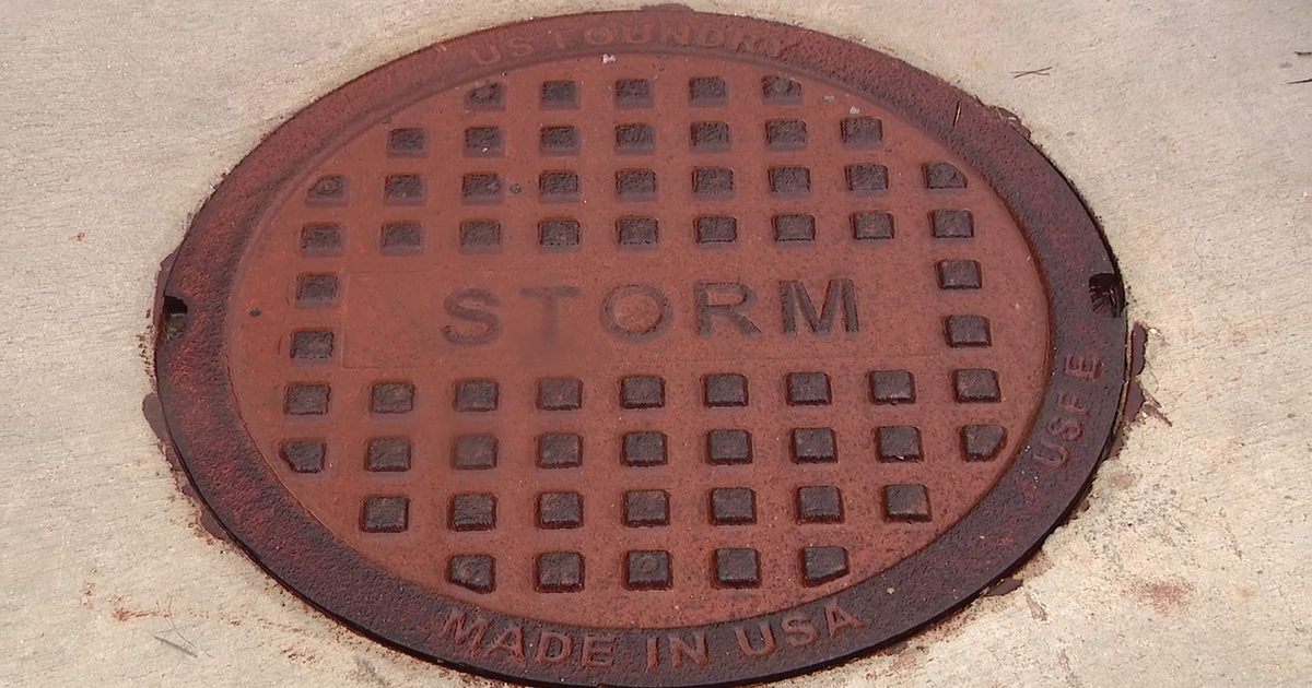 Clearwater launches Adopt-a-Drain program to help prevent flooding