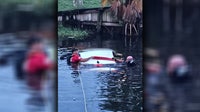 Clearwater pond crash: Officers smash window to rescue driver