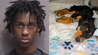 ‘Heartless’ Florida man accused of locking malnourished puppy in garage without food or water