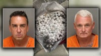 St. Pete Beach mothballs: Two men arrested in plot to disrupt nesting shorebirds